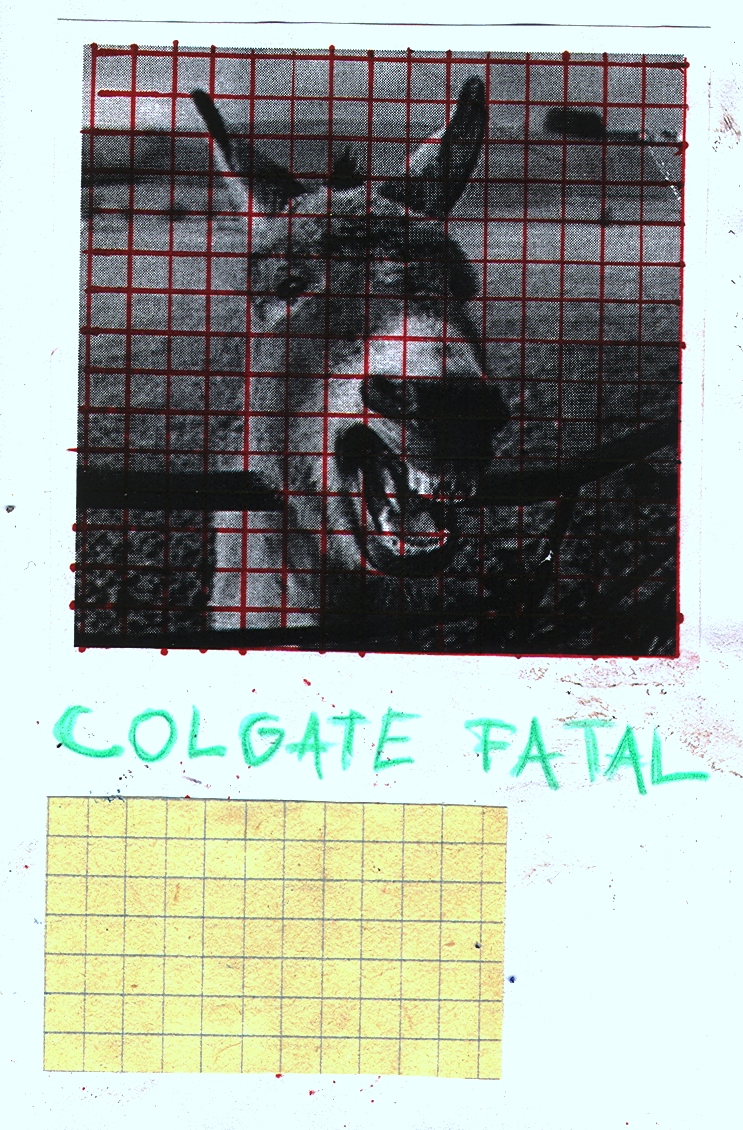 scan.jpg