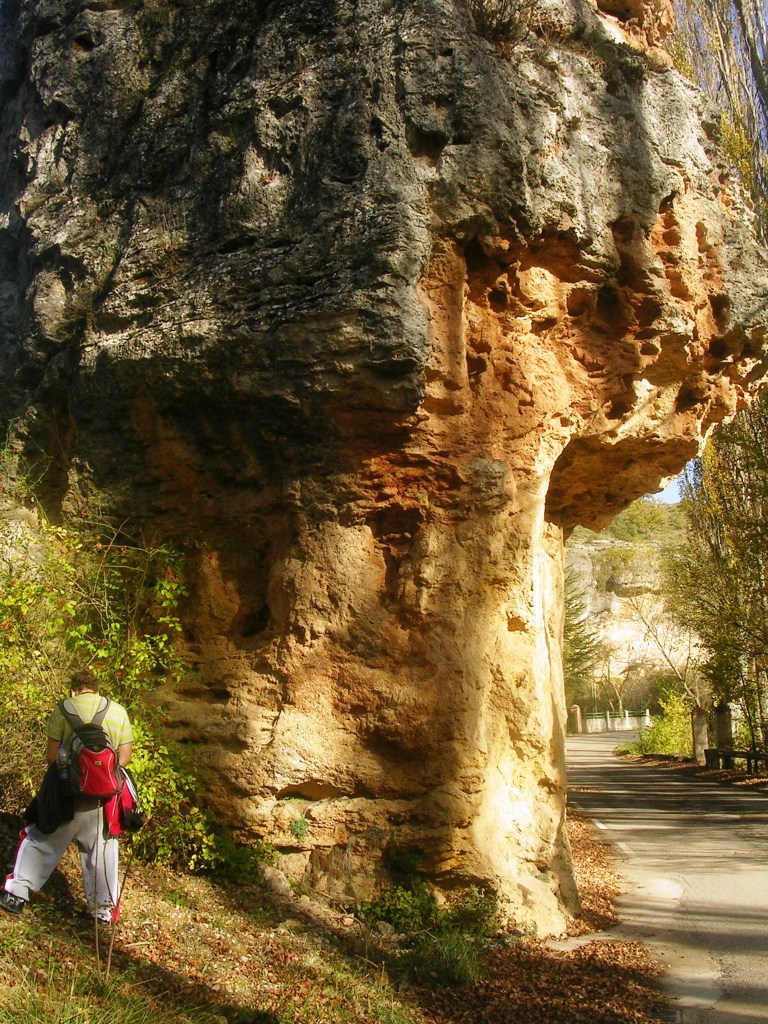 DSCN0552.JPG